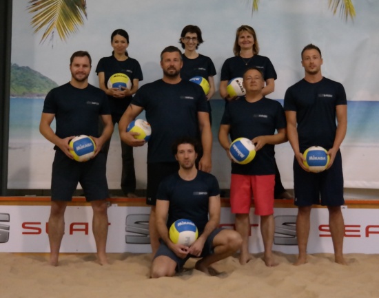 Beachvolleyball 2014